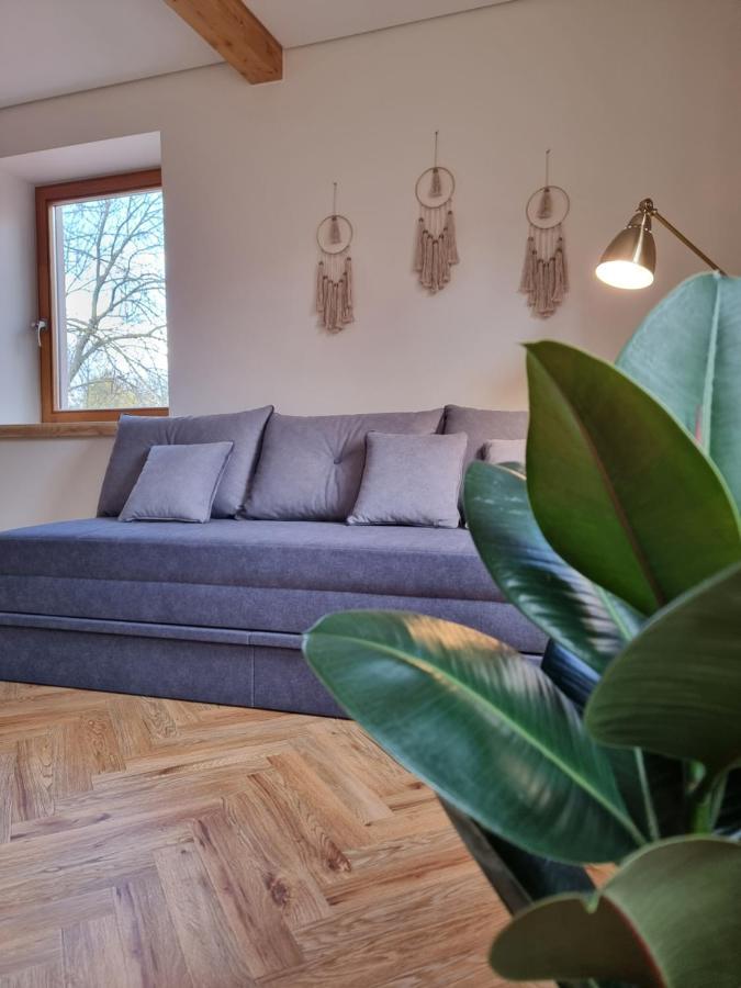 Old Town Jiva Apartment Kaunas Esterno foto